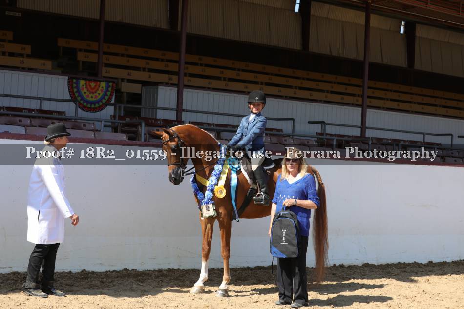 Proof 18R2_01559