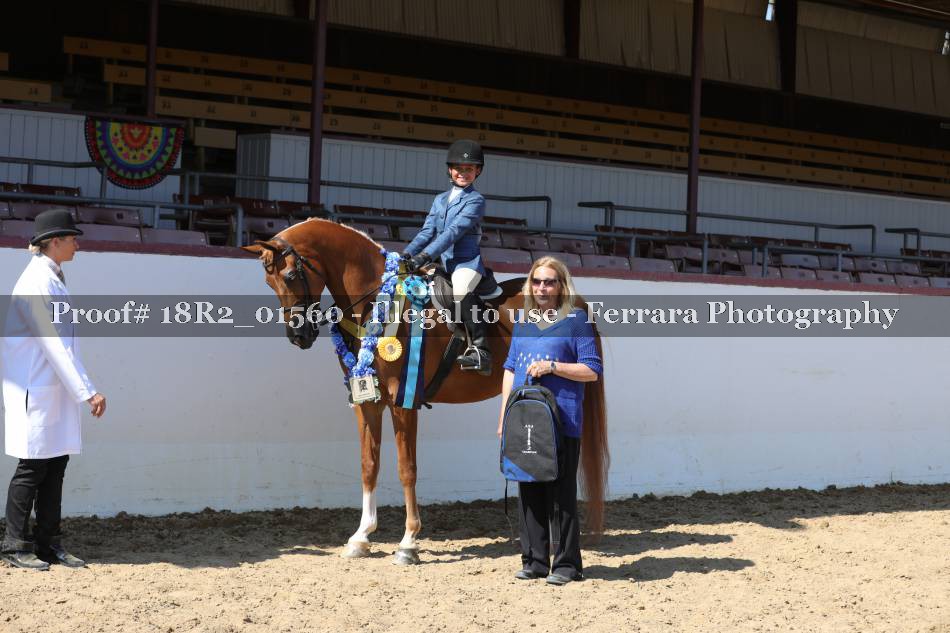 Proof 18R2_01560