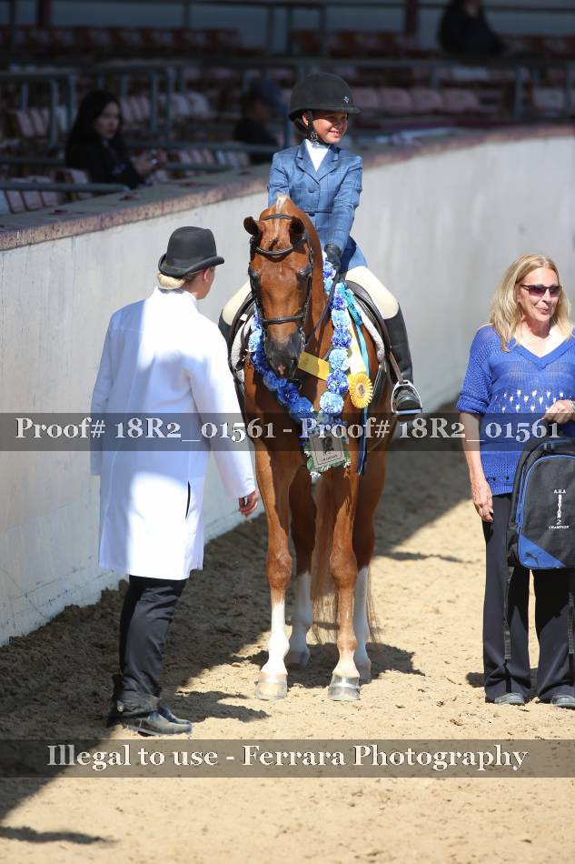 Proof 18R2_01561