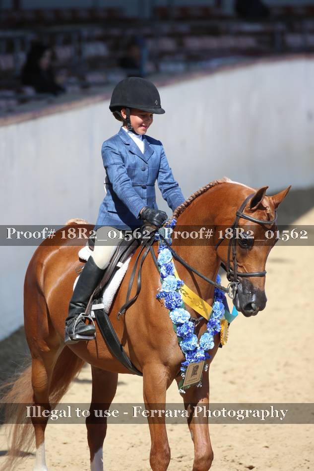 Proof 18R2_01562