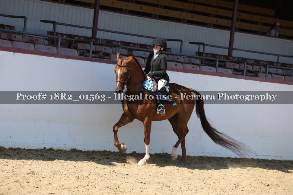 Proof 18R2_01563