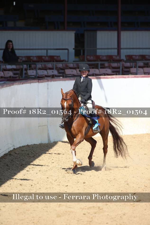 Proof 18R2_01564