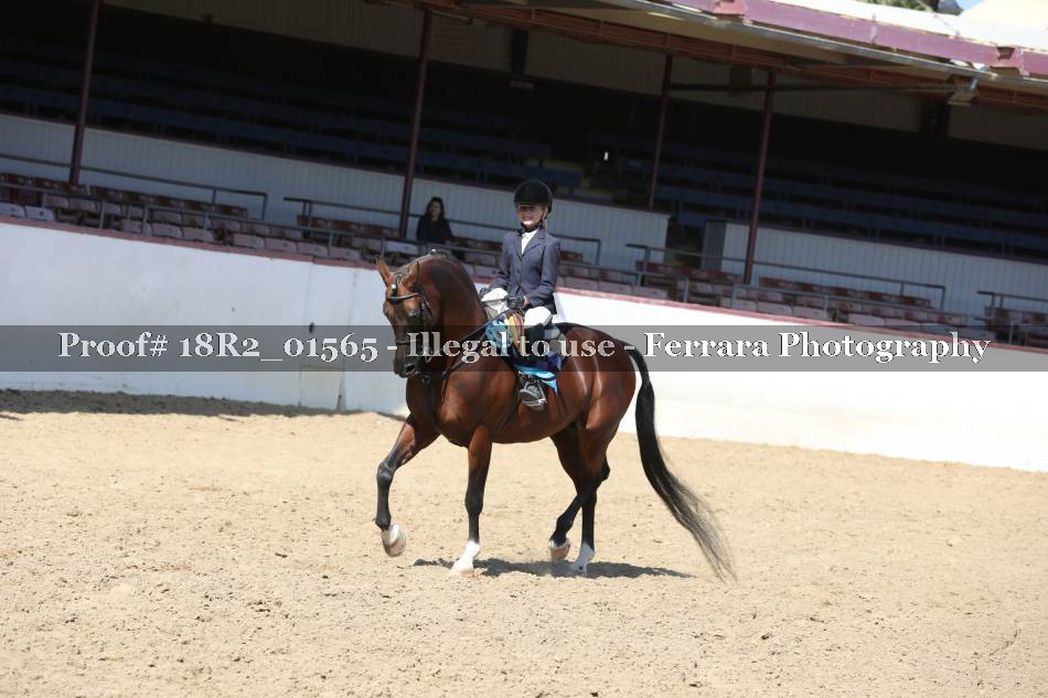 Proof 18R2_01565