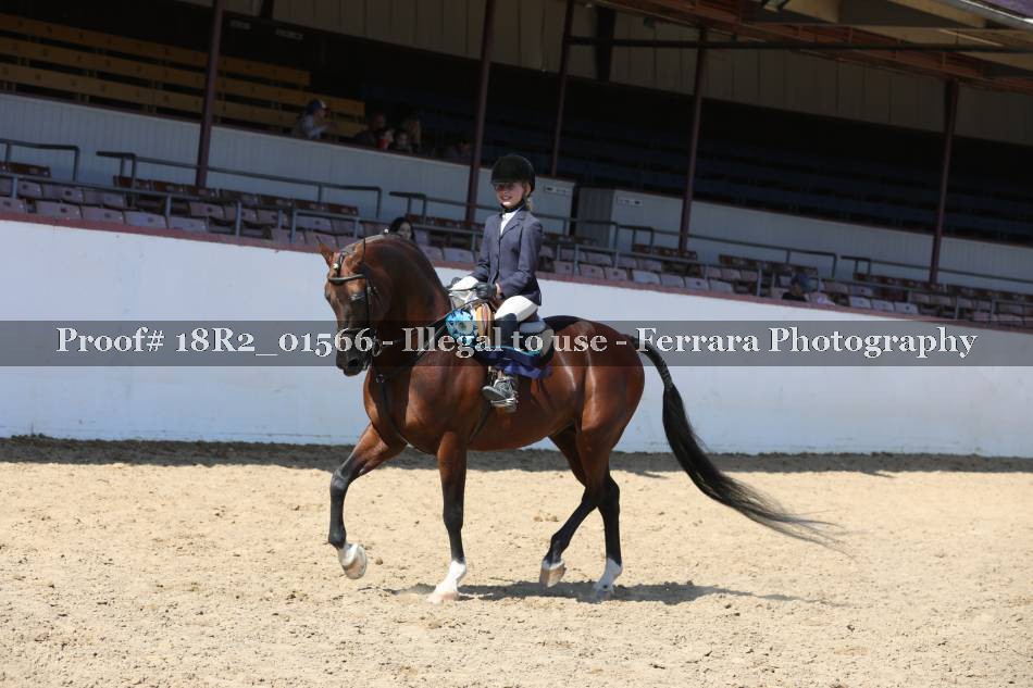 Proof 18R2_01566