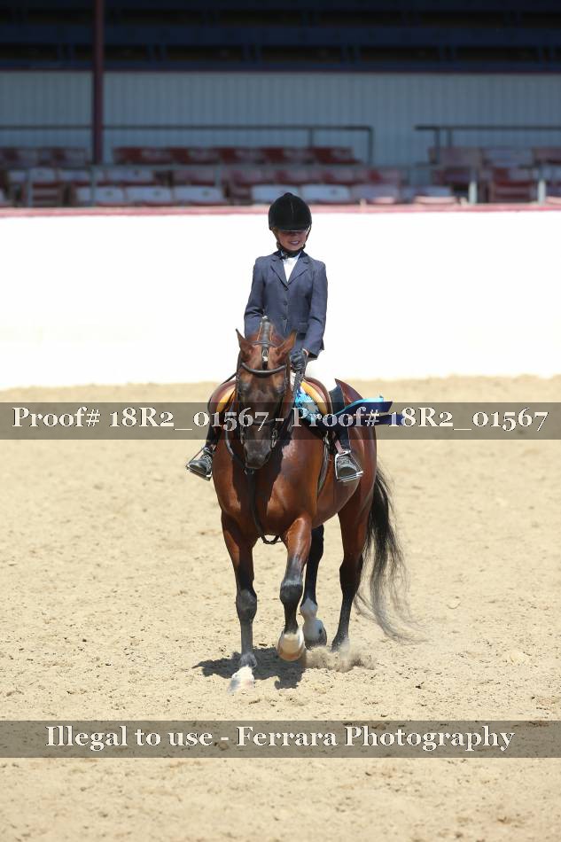 Proof 18R2_01567