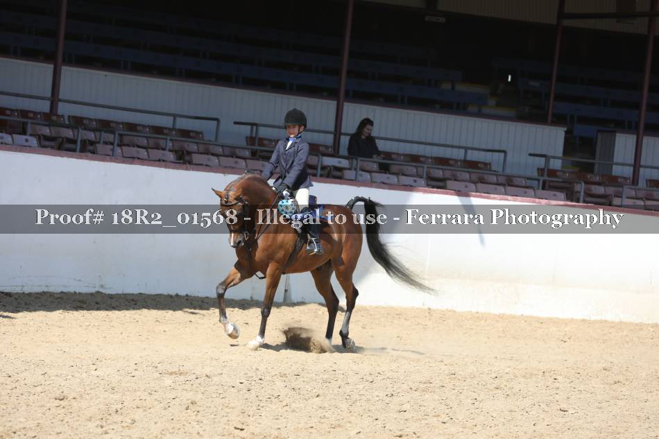 Proof 18R2_01568