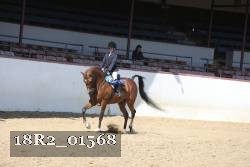 18R2_01568 proof