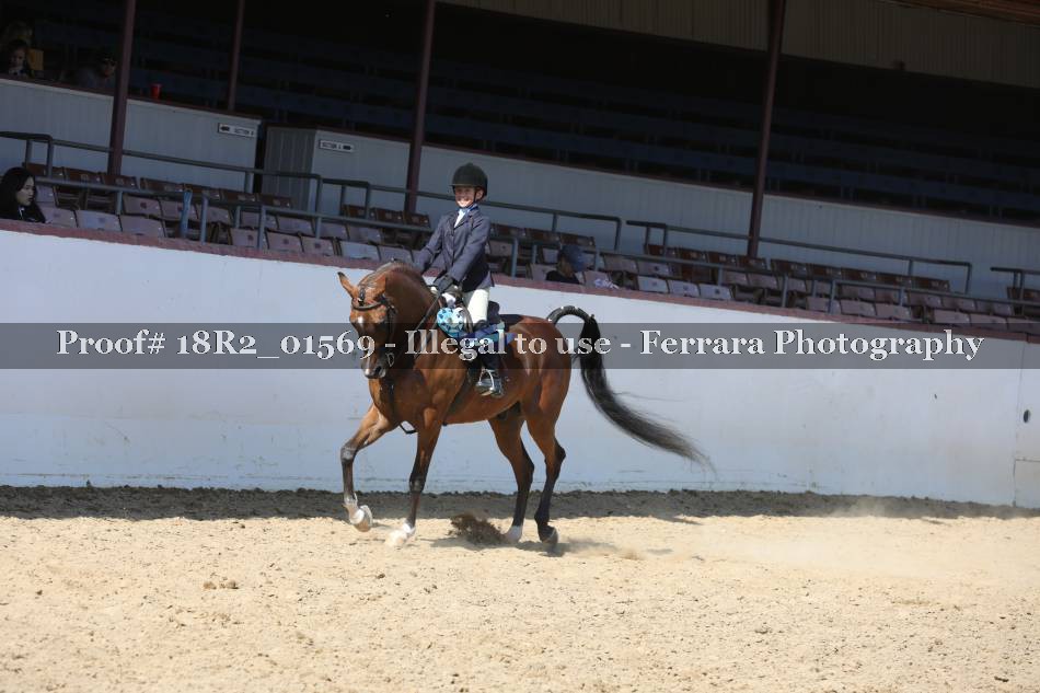 Proof 18R2_01569