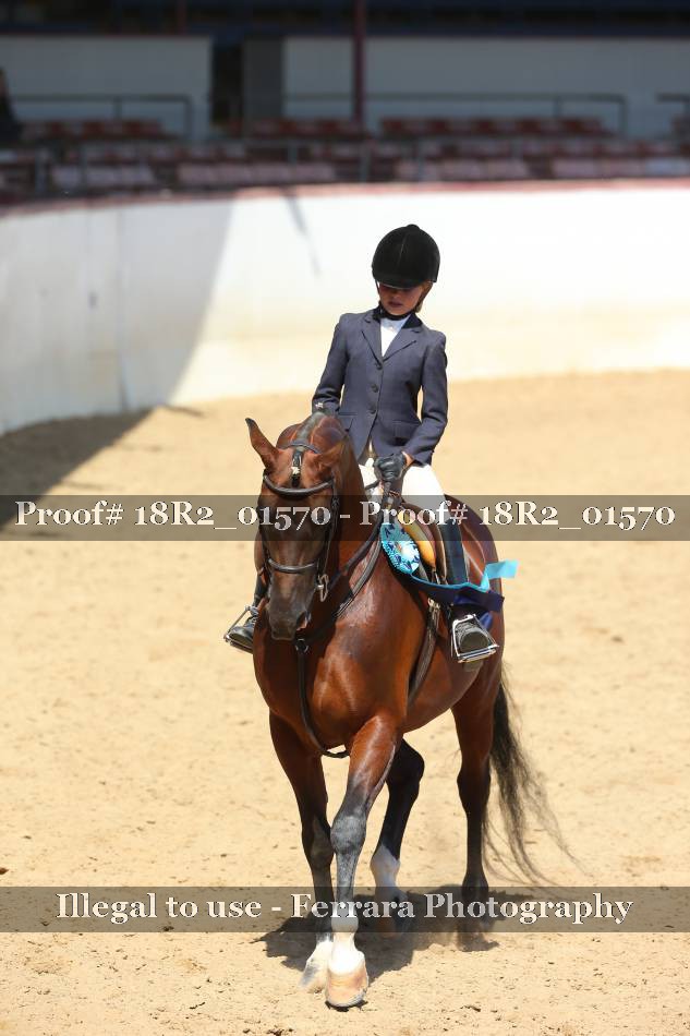 Proof 18R2_01570