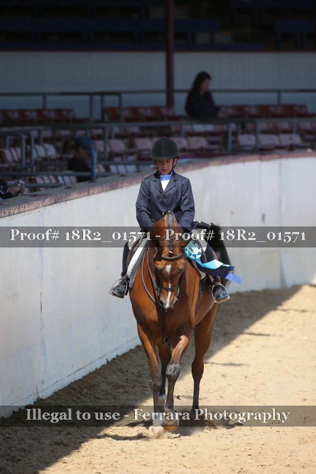 Proof 18R2_01571