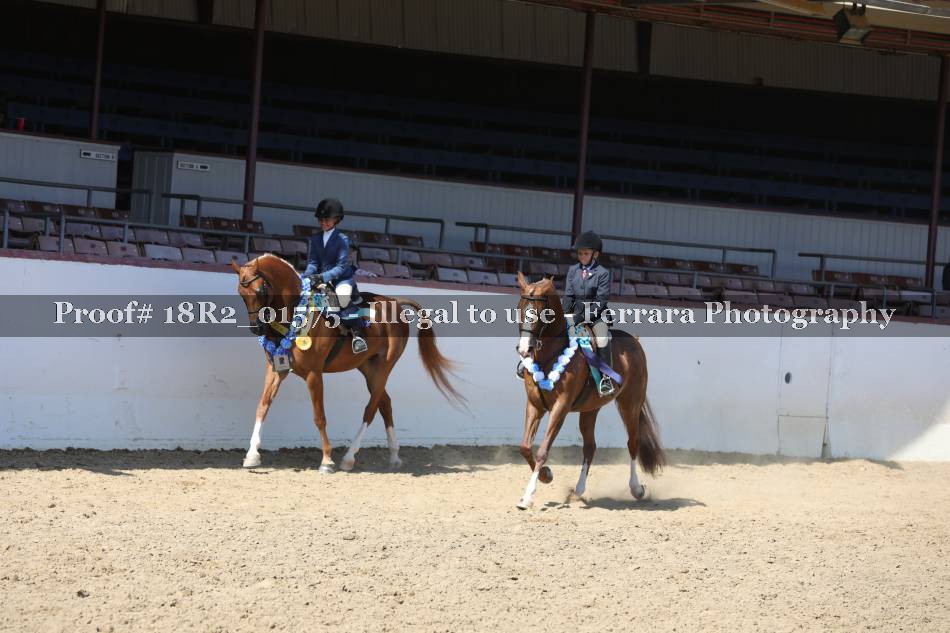 Proof 18R2_01575