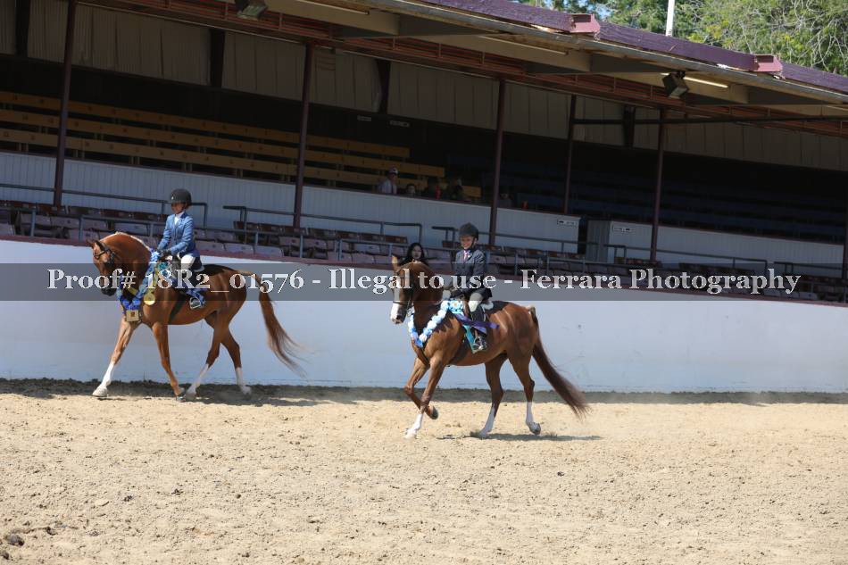 Proof 18R2_01576