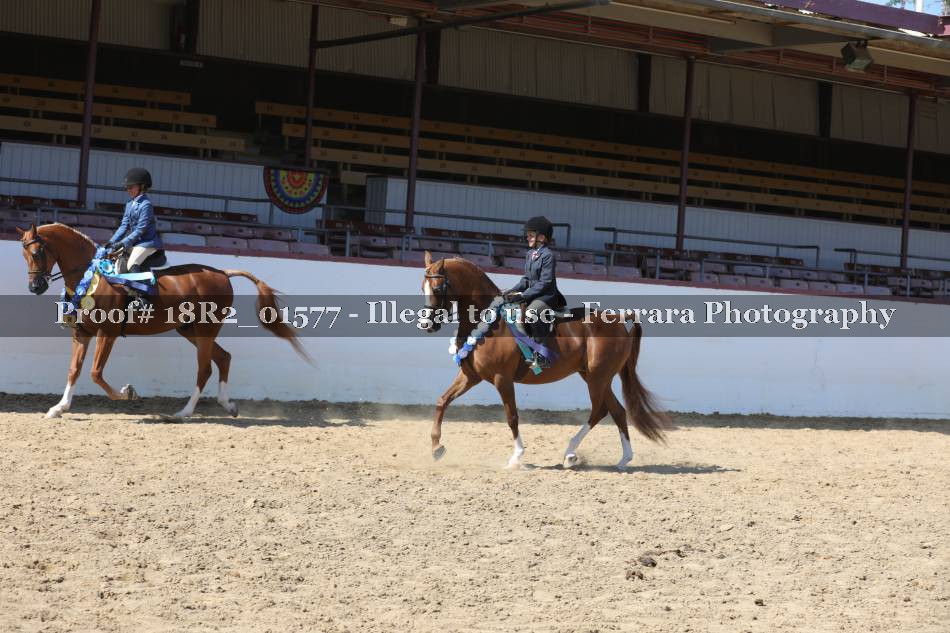 Proof 18R2_01577