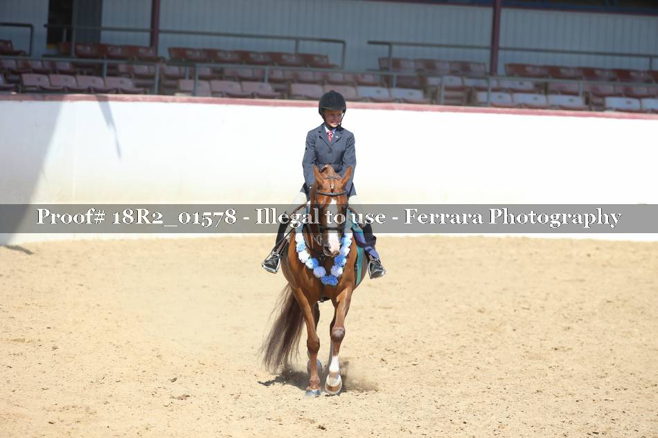 Proof 18R2_01578