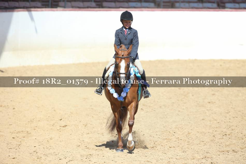 Proof 18R2_01579