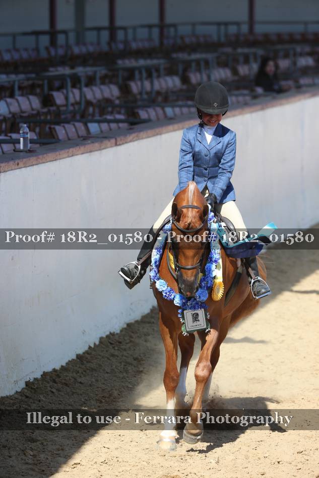 Proof 18R2_01580