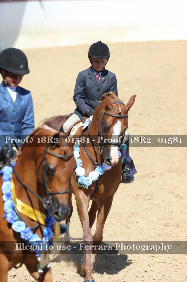 Proof 18R2_01581