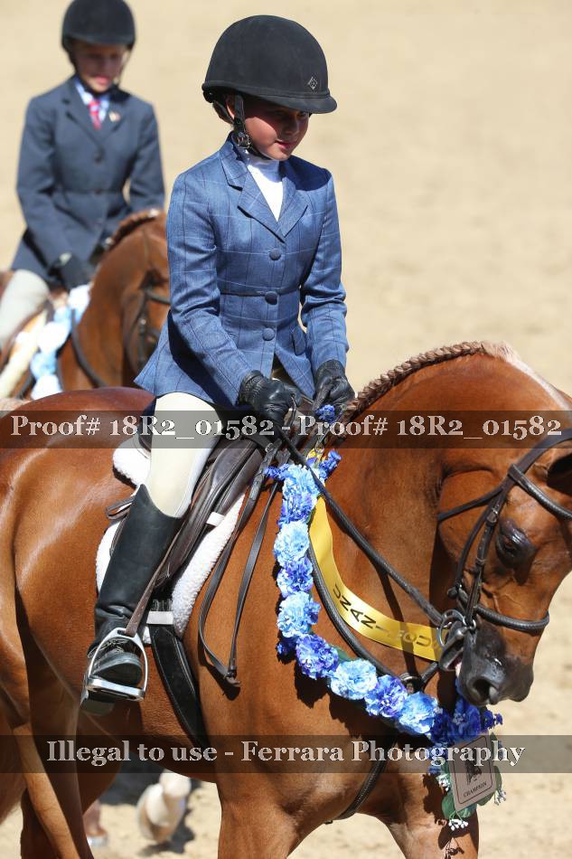 Proof 18R2_01582