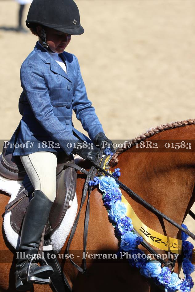 Proof 18R2_01583