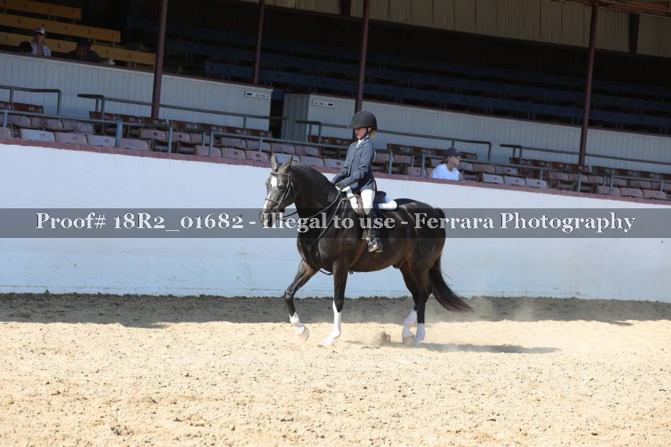 Proof 18R2_01682