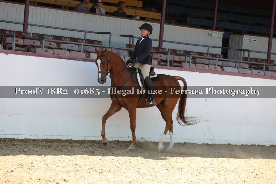 Proof 18R2_01685