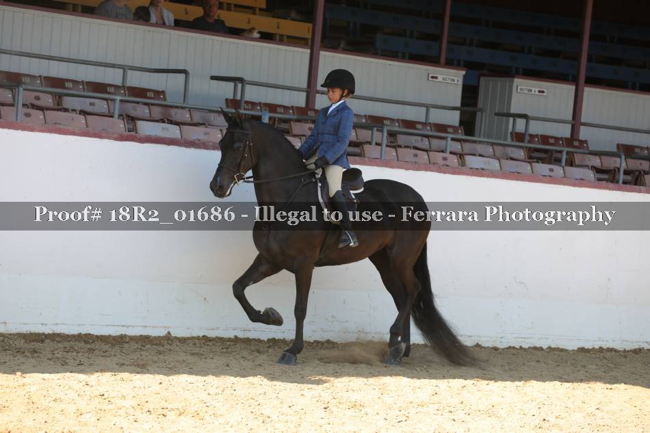 Proof 18R2_01686