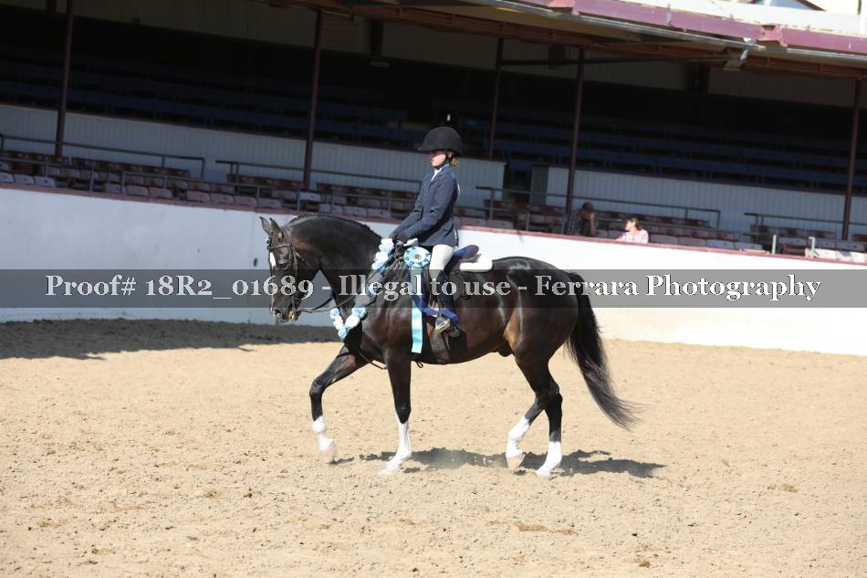 Proof 18R2_01689