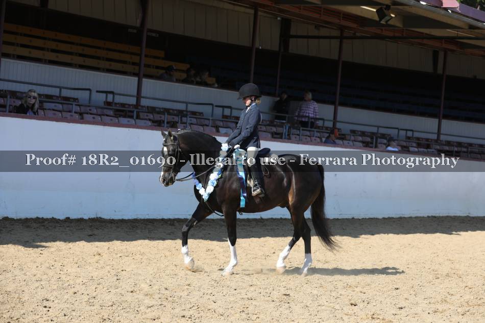 Proof 18R2_01690
