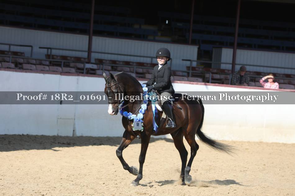 Proof 18R2_01691