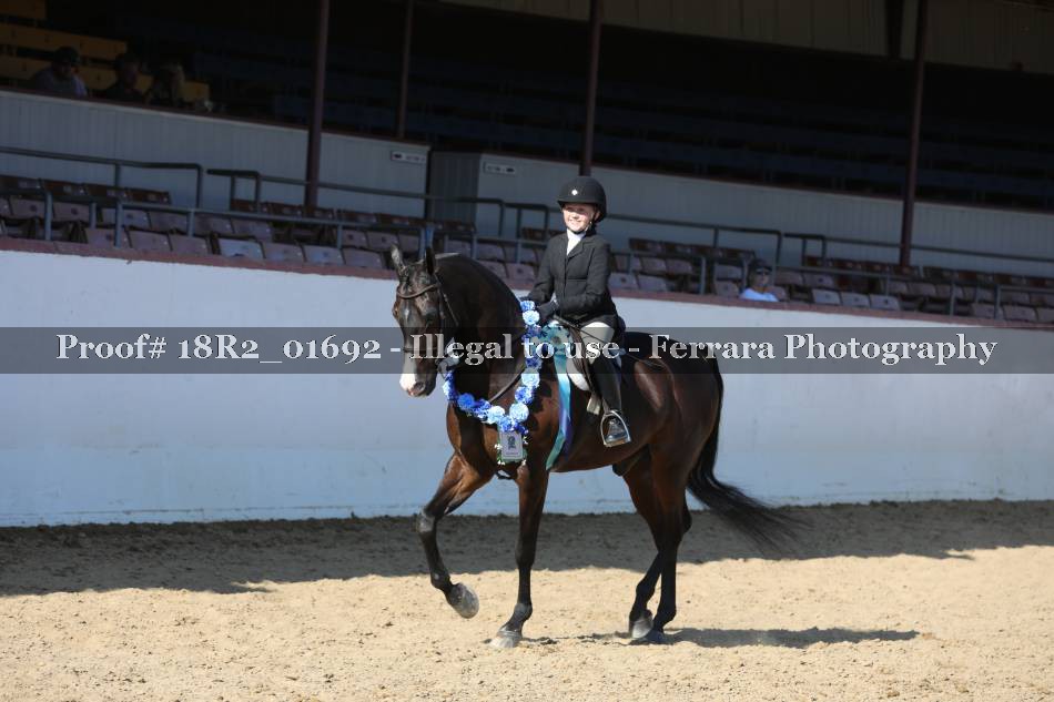 Proof 18R2_01692