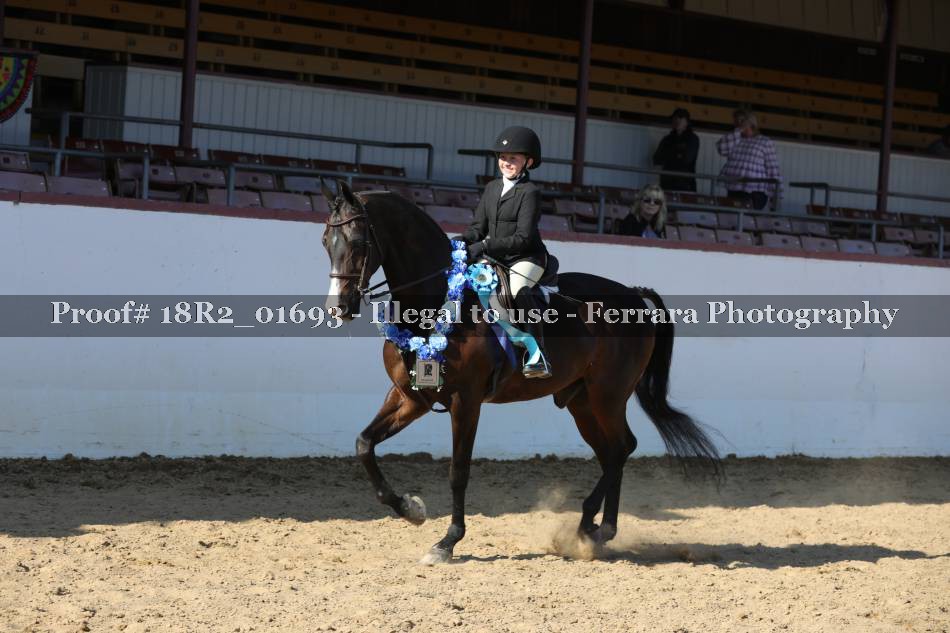 Proof 18R2_01693