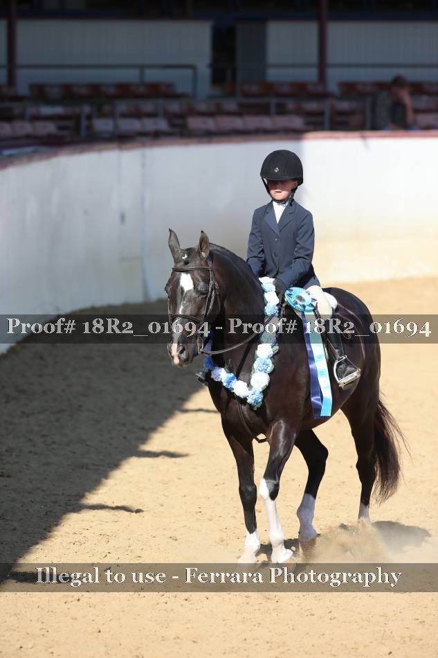 Proof 18R2_01694