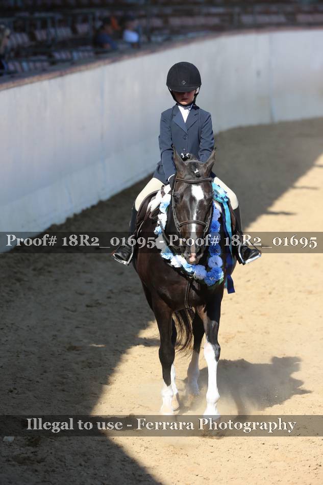 Proof 18R2_01695