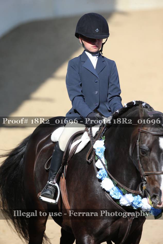 Proof 18R2_01696