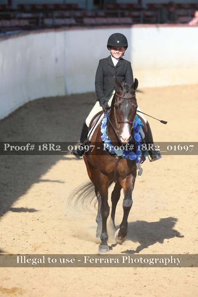 Proof 18R2_01697