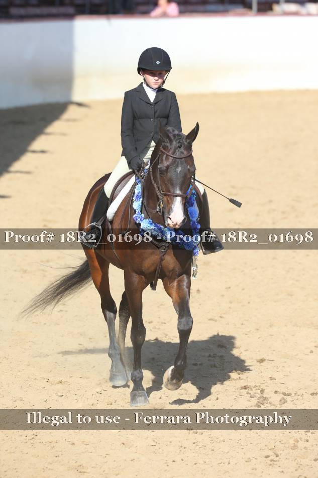 Proof 18R2_01698