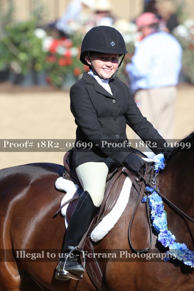 Proof 18R2_01699