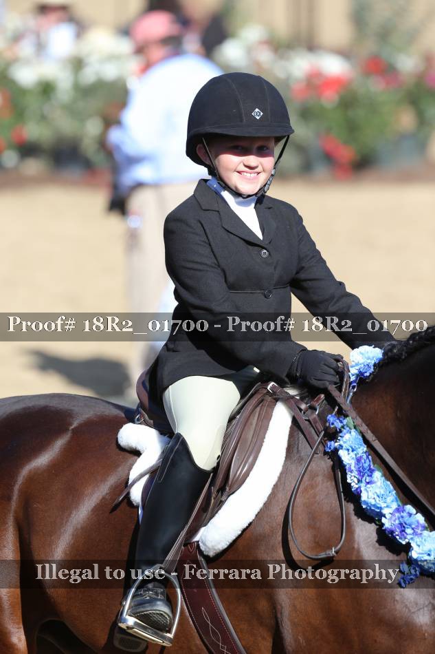 Proof 18R2_01700