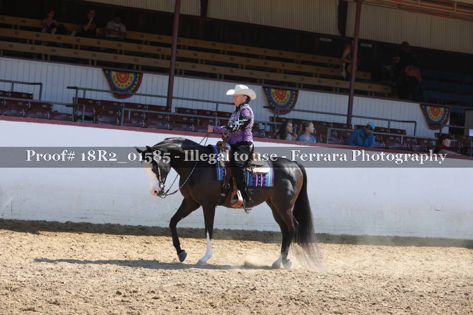 Proof 18R2_01585