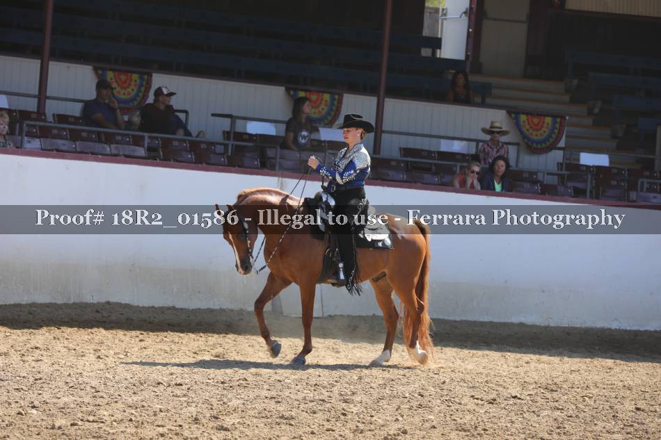 Proof 18R2_01586
