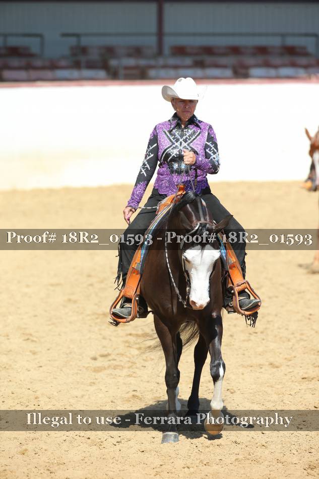 Proof 18R2_01593