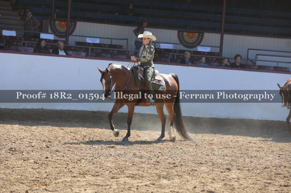 Proof 18R2_01594
