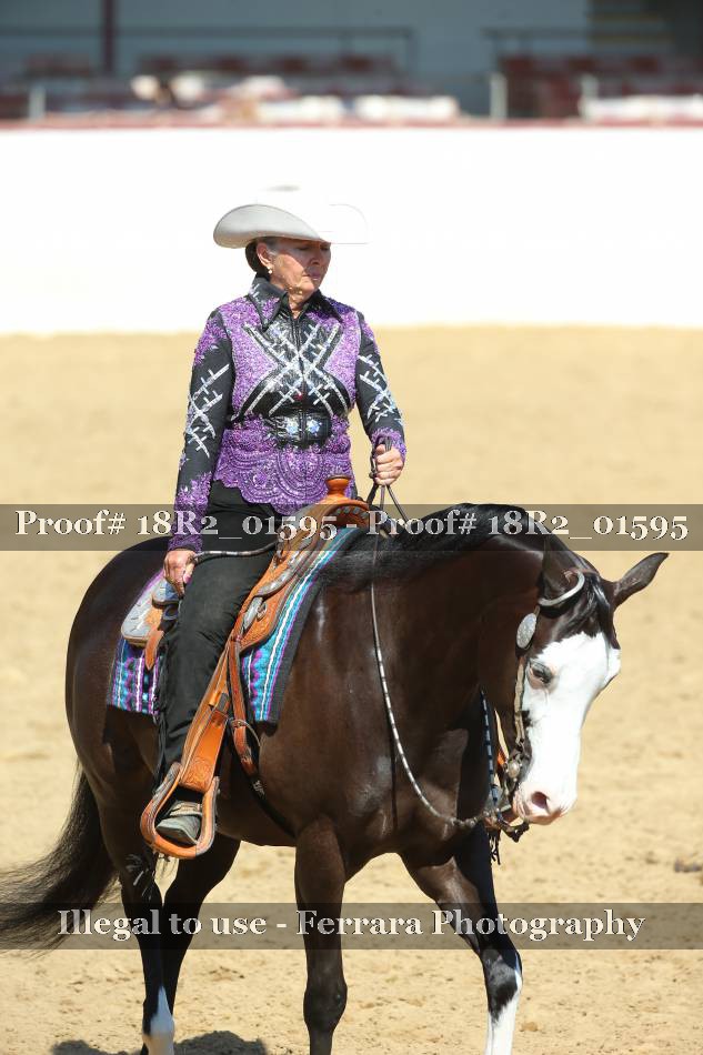 Proof 18R2_01595