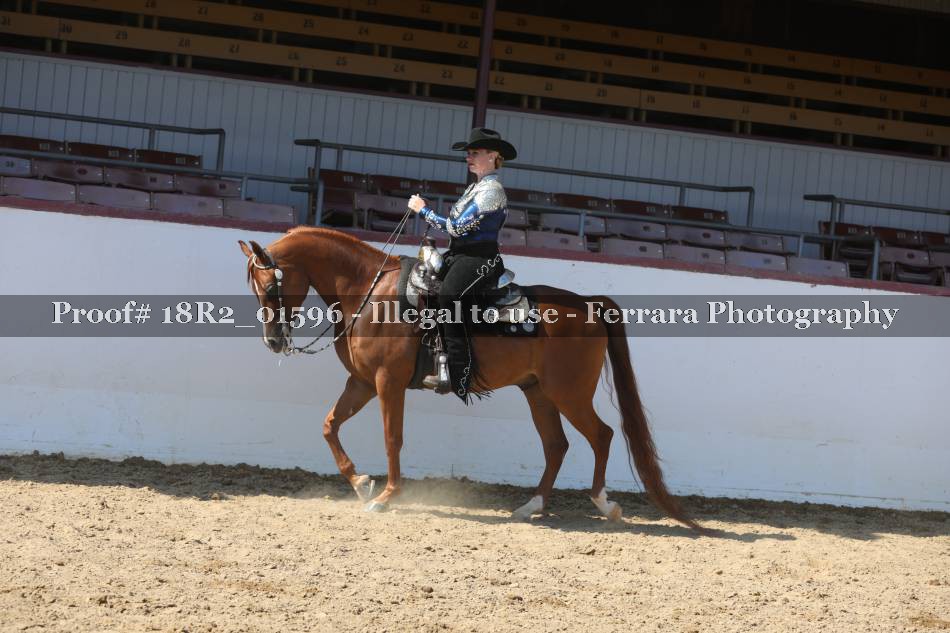Proof 18R2_01596