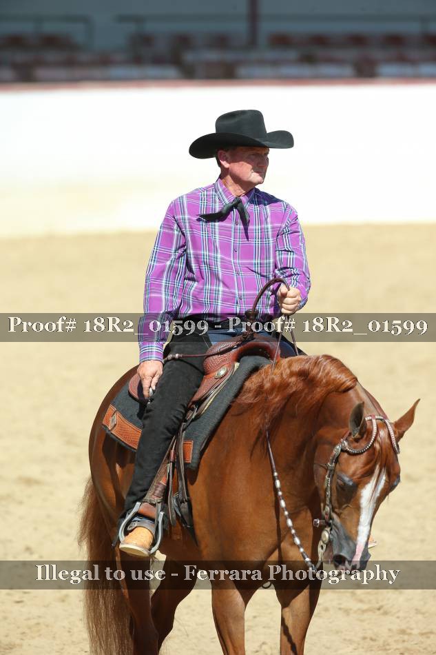 Proof 18R2_01599