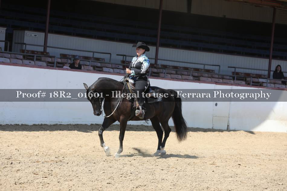 Proof 18R2_01601