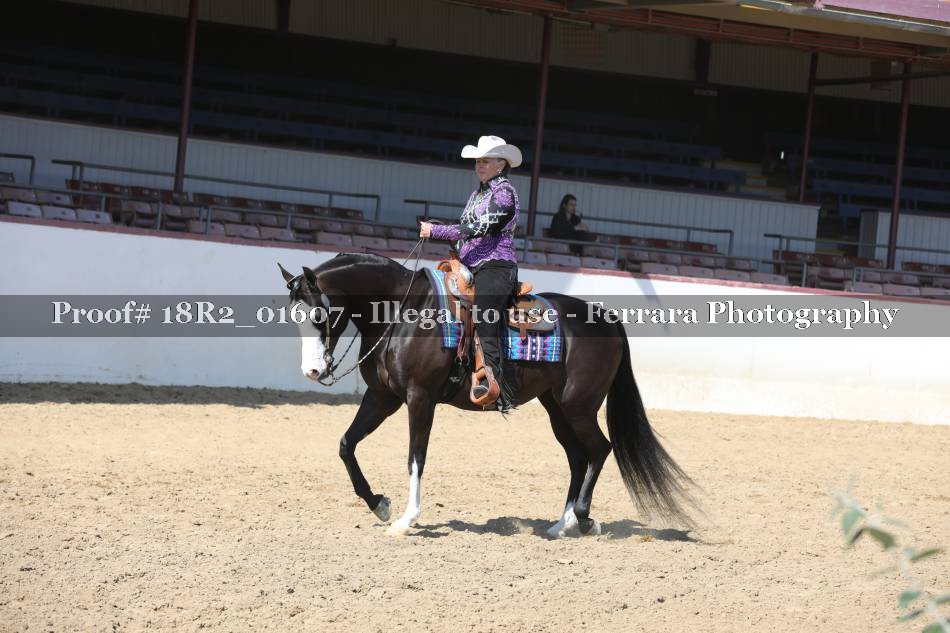 Proof 18R2_01607