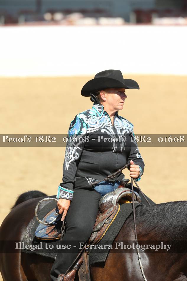 Proof 18R2_01608