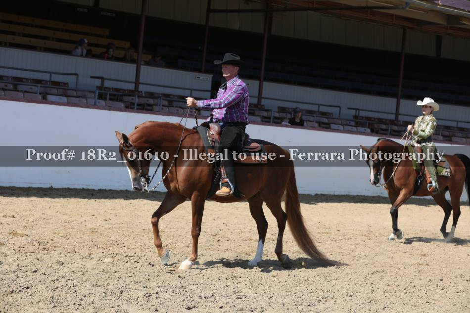 Proof 18R2_01610