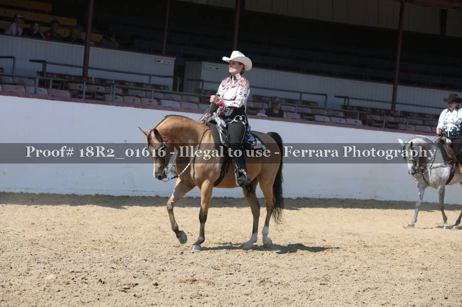 Proof 18R2_01616